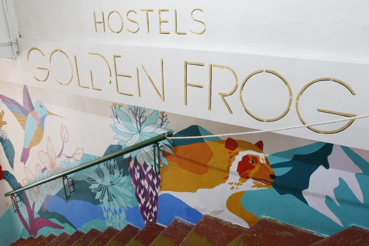 Golden Frog Manizales Hostel Eksteriør bilde